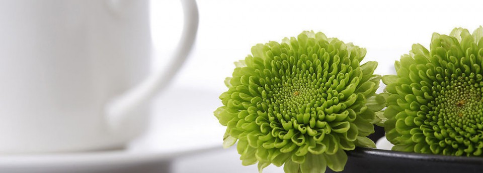 ETree Home Sdn. Bhd. - We specialize in tropical plant rental and leasing for commercial spaces and special events ETree Home Sdn. Bhd. - We specialize in tropical plant rental and leasing for commercial spaces and special events
